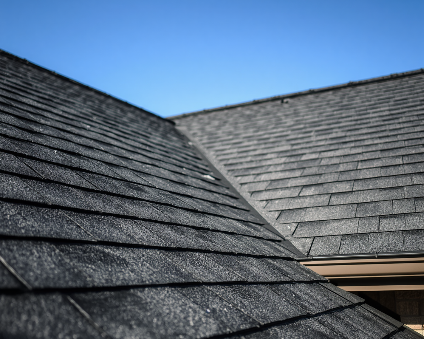Asphalt Shingle Roof Installation